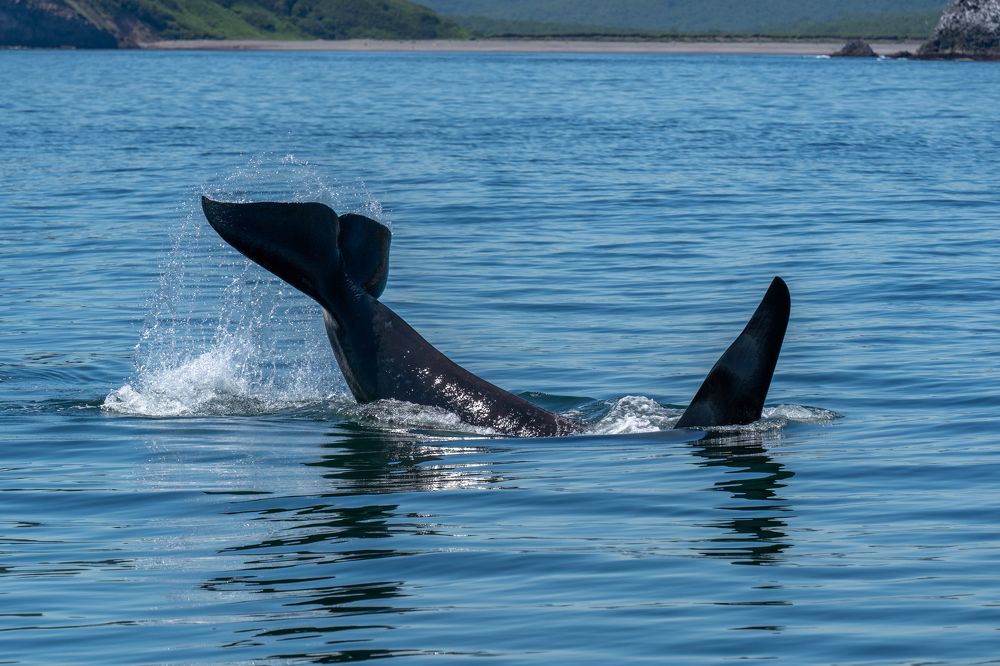 Photograph by Баландин Дмитрий