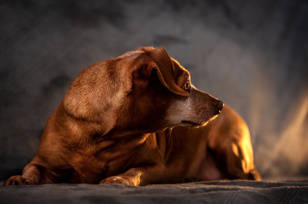 Photograph by Кристина Чижмар