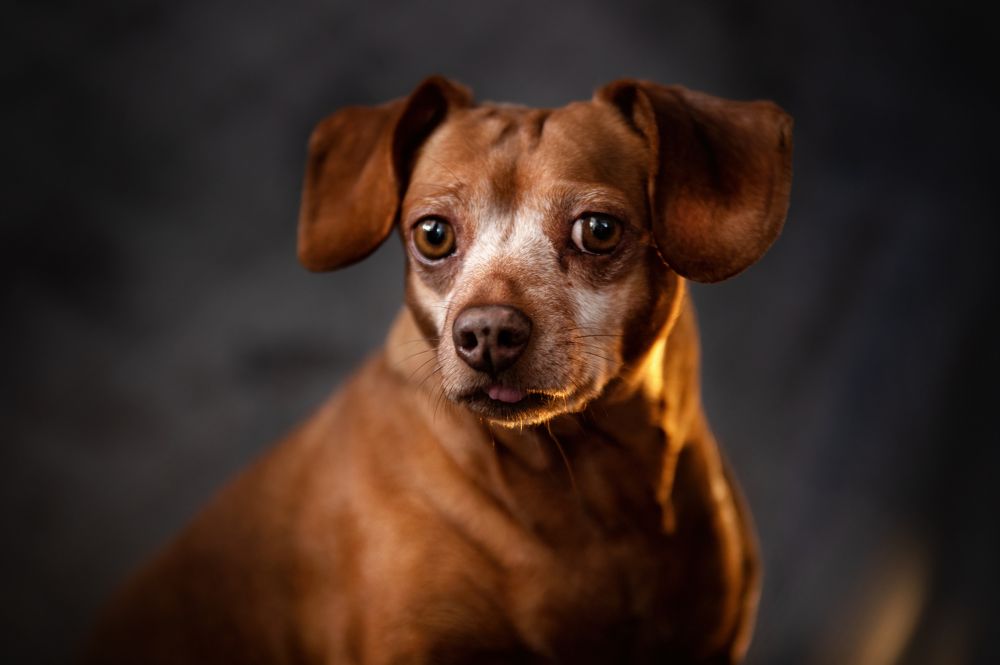 Photograph by Кристина Чижмар