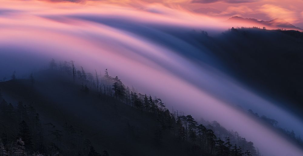 clouds pass through the trees