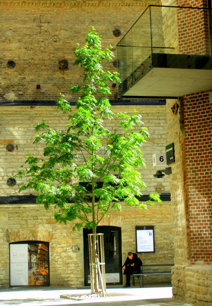 Photograph by Марина