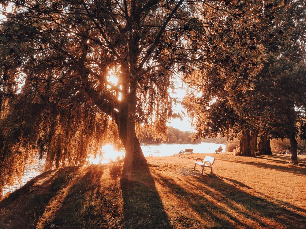 Photograph by Анна Купенко