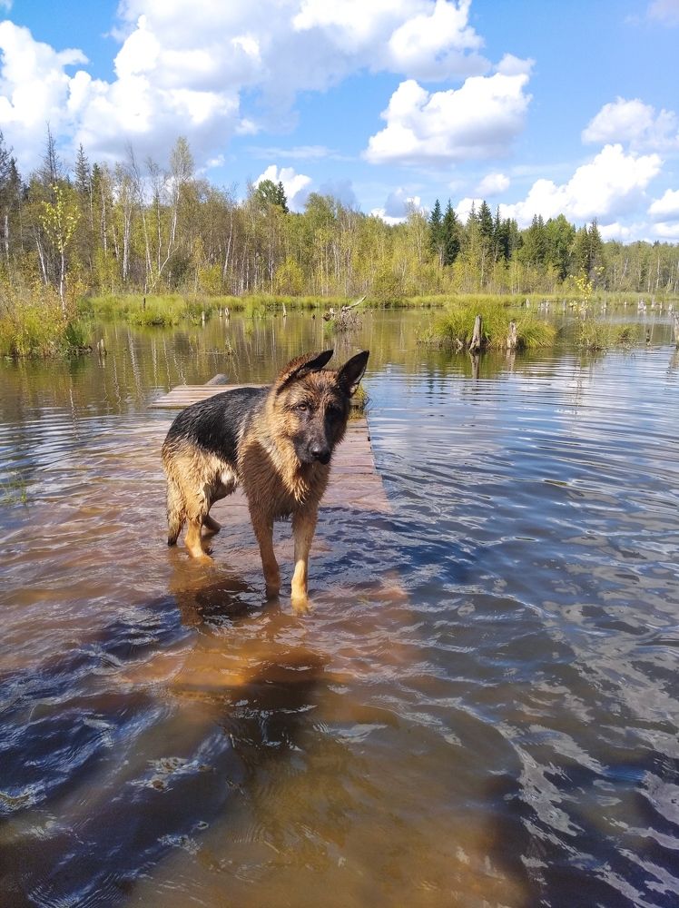 Photograph by Анастасия