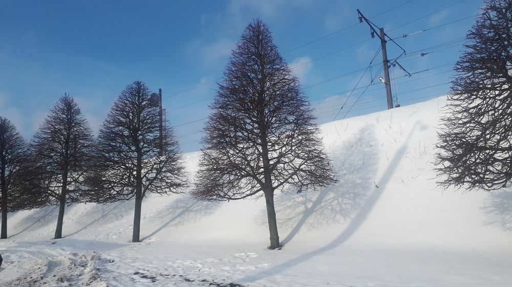 Фотография автора Alena Makushina