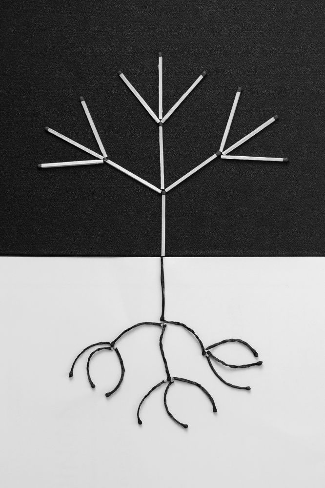 Жизнь и смерть