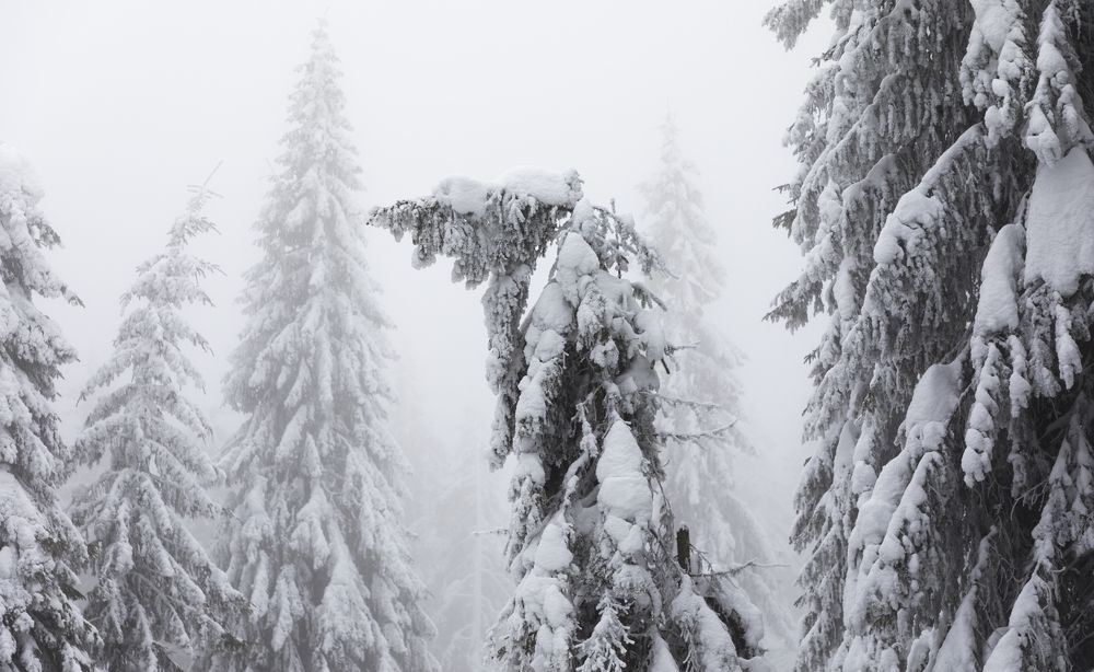 Photograph by TURCZA HUNOR