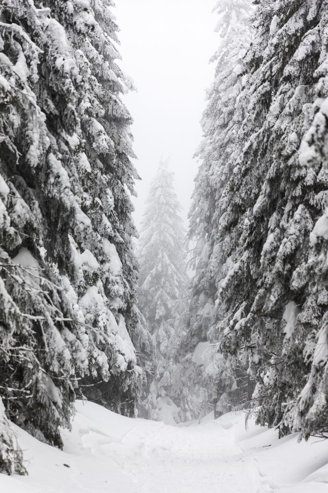 Photograph by TURCZA HUNOR