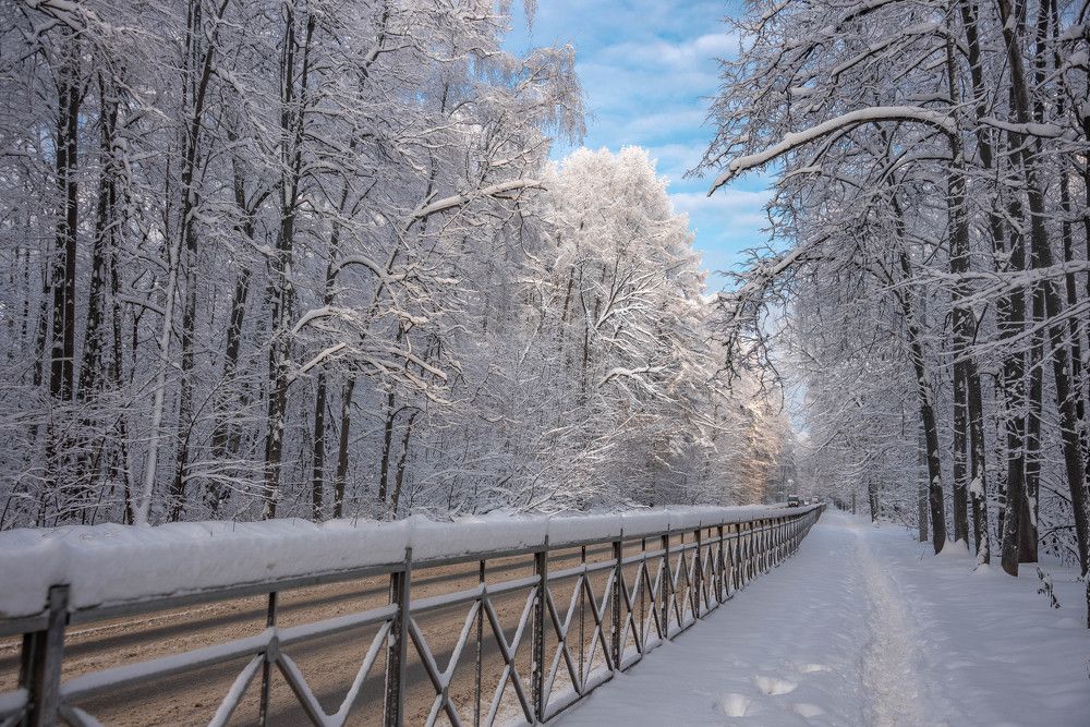 Photograph by Ирина Зубарева