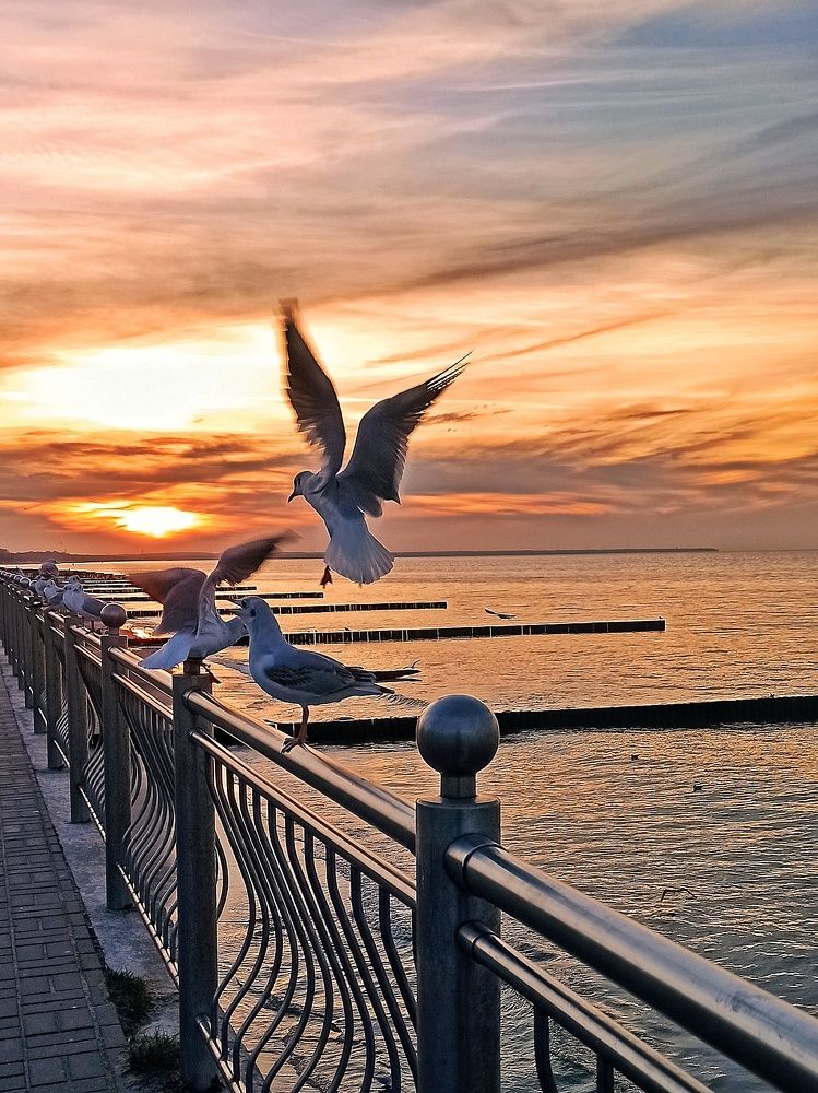 Photograph by Сергей Жигульский