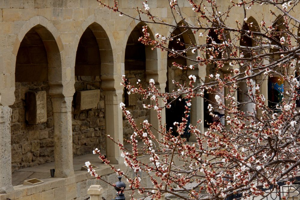 Photograph by Ulviyya Kamalzade