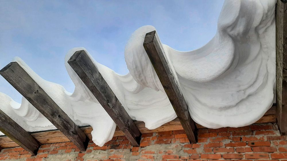 Январские паруса.