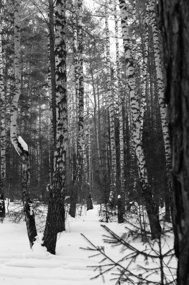 Photograph by Ксения Бочкова