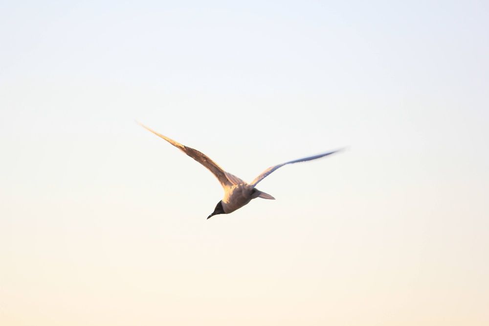 Photograph by Олеся