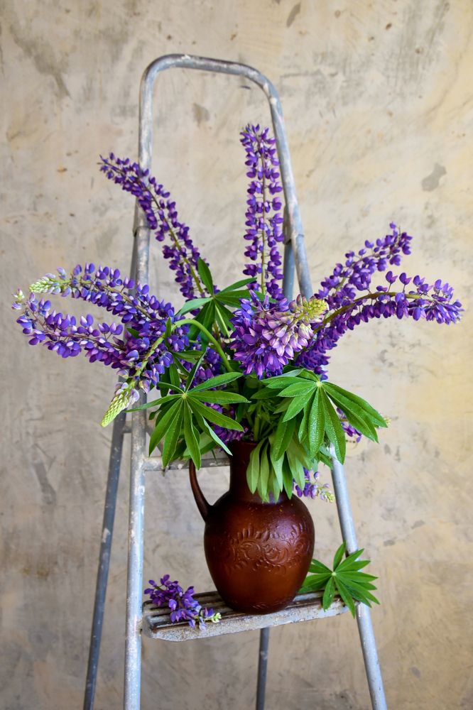 Photograph by Юлия Сергеева