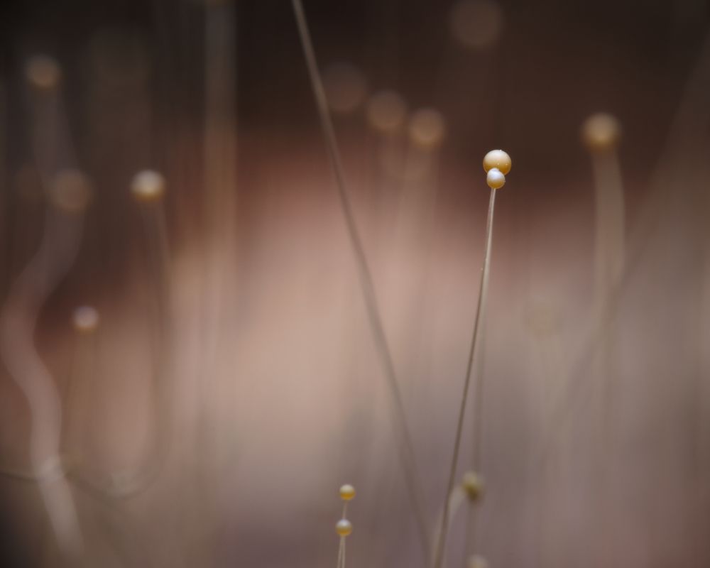 Фотография автора Panagiotis Dalagiorgos