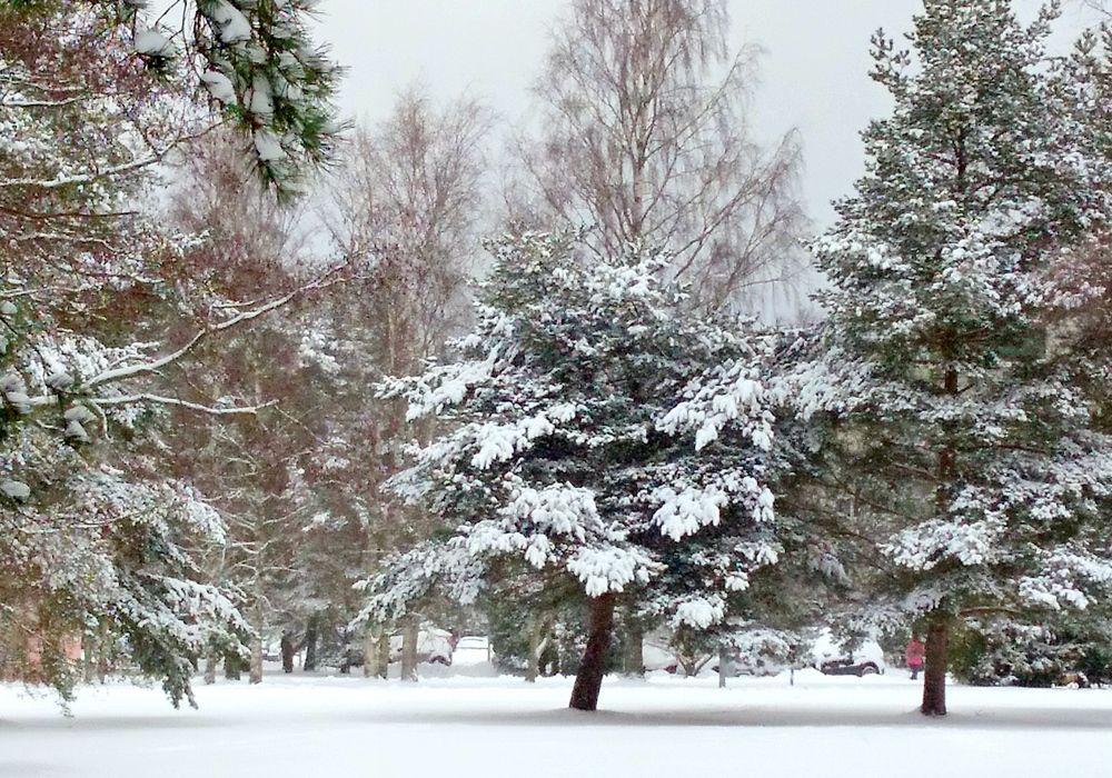 Зимний день