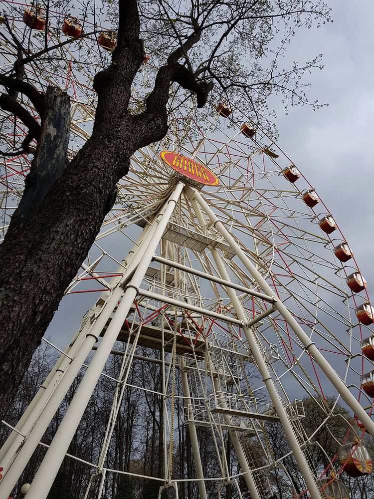 Photograph by Ольга