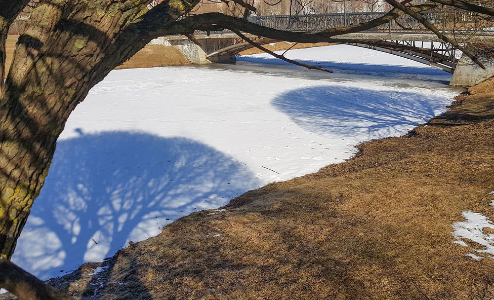 Photograph by Ольга