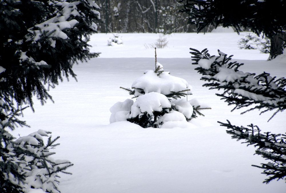 Photograph by Mарина Лесницкая