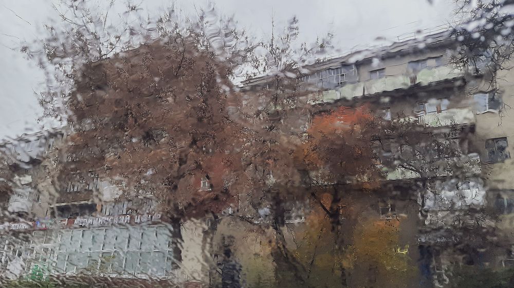 Photograph by Эдуард Шадров