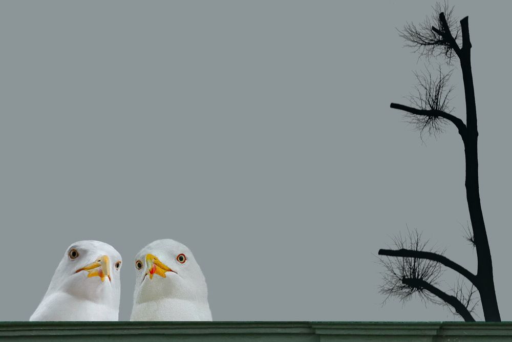 Photograph by Лидия Ушакова