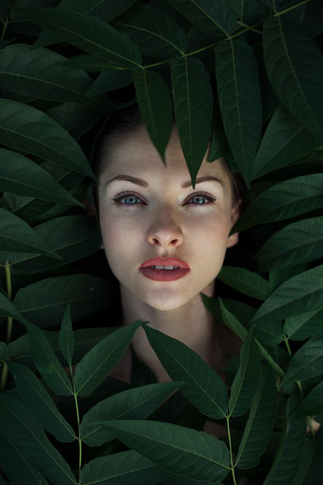 Photograph by Саша Парасич