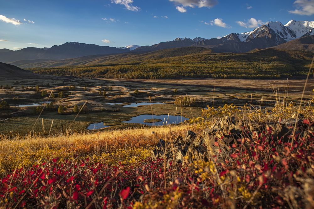 Photograph by Екатерина Лурина