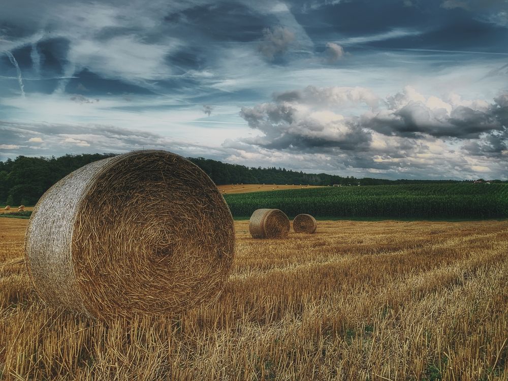 Photograph by Swetlana Lebedev