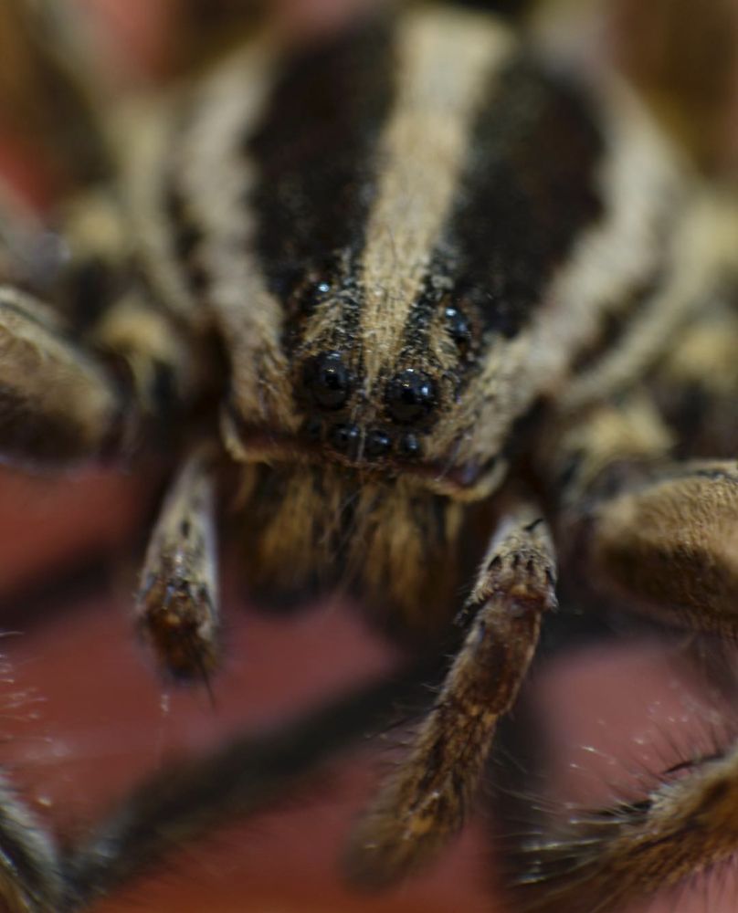 Фотография автора Mahshad Razavi