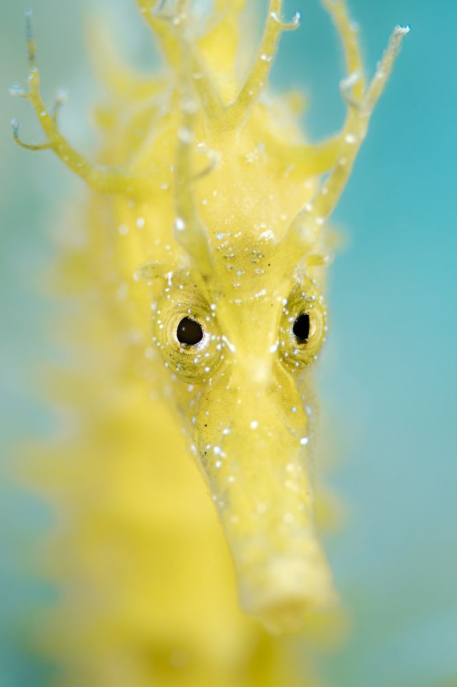 Photograph by Csaba Tokolyi