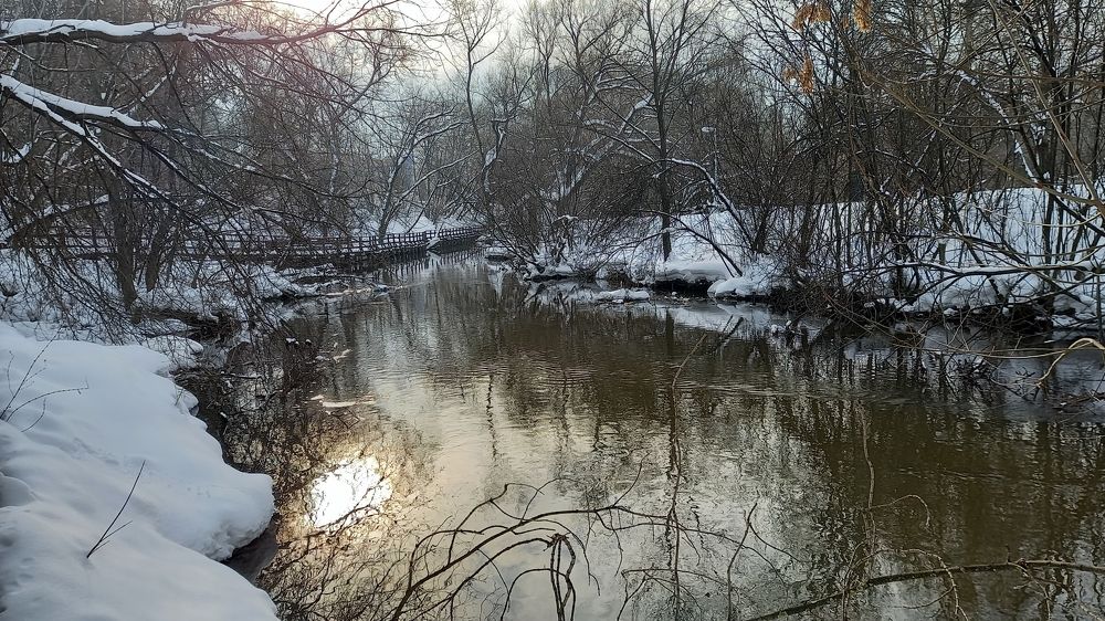 Photograph by Владимир Гречанинов