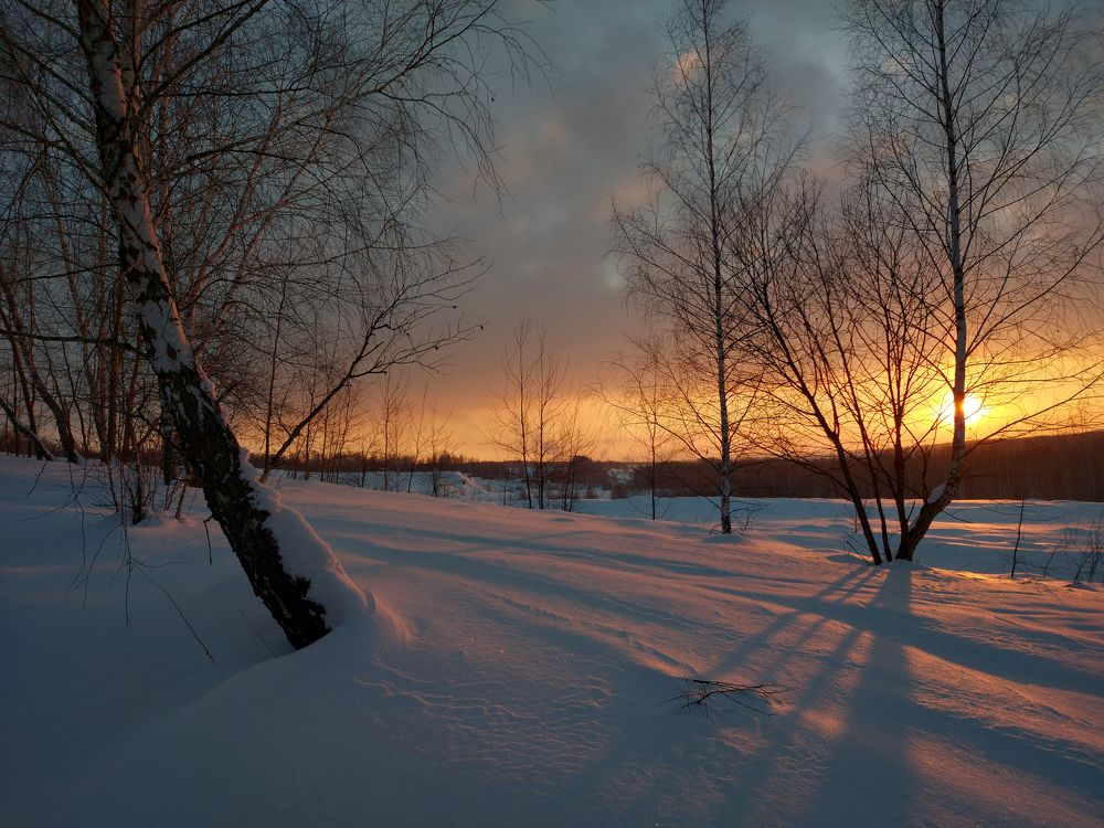Февральским вечером.