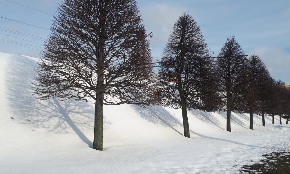 Фотография автора Alena Makushina