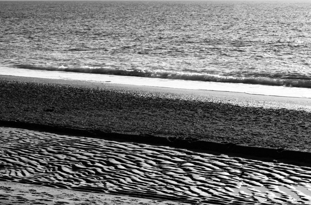 Photograph by Teresa MoliNaro