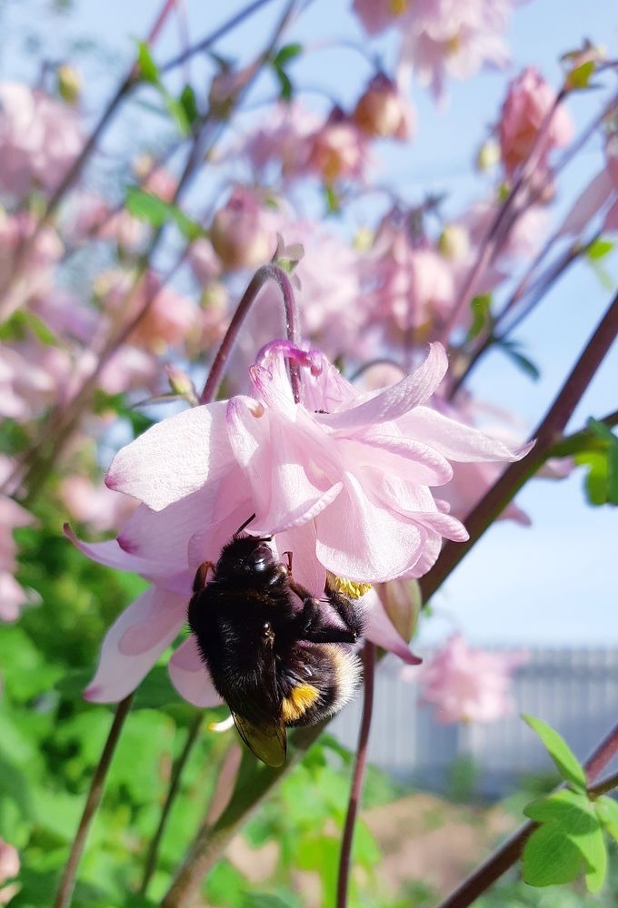 Фотография автора Ирина Лукьянчик