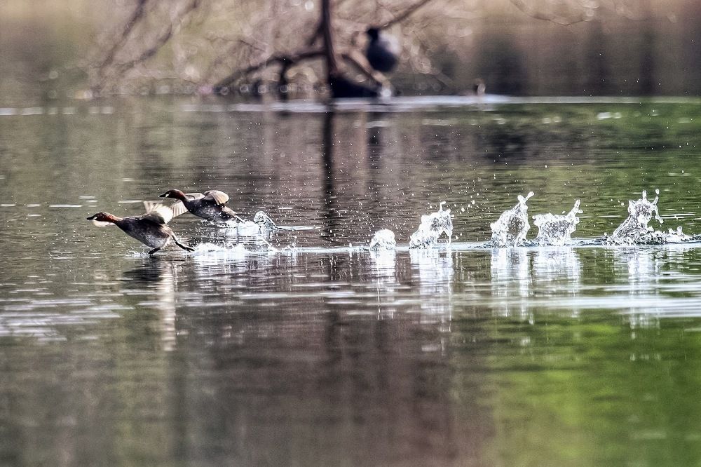 Фотография автора Pratik Chavan