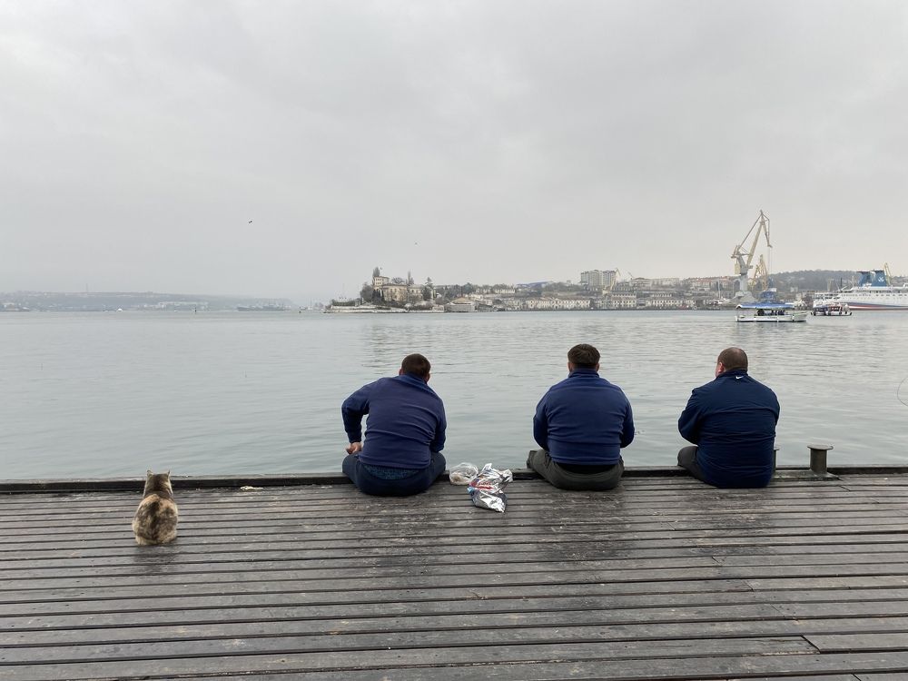 «Три богатыря и кот»