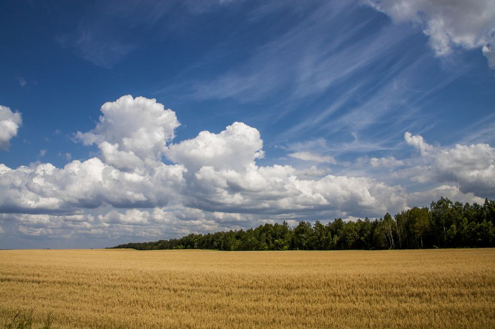 Июльский зной - 5