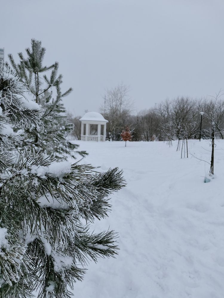Photograph by Власова Ольга Николаевна