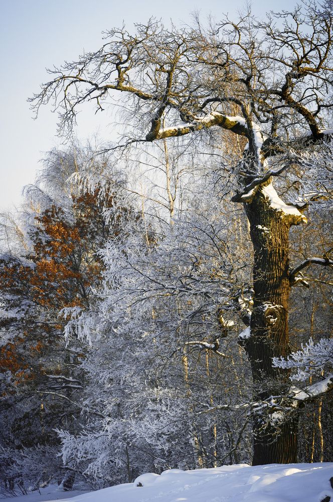 Photograph by stepan