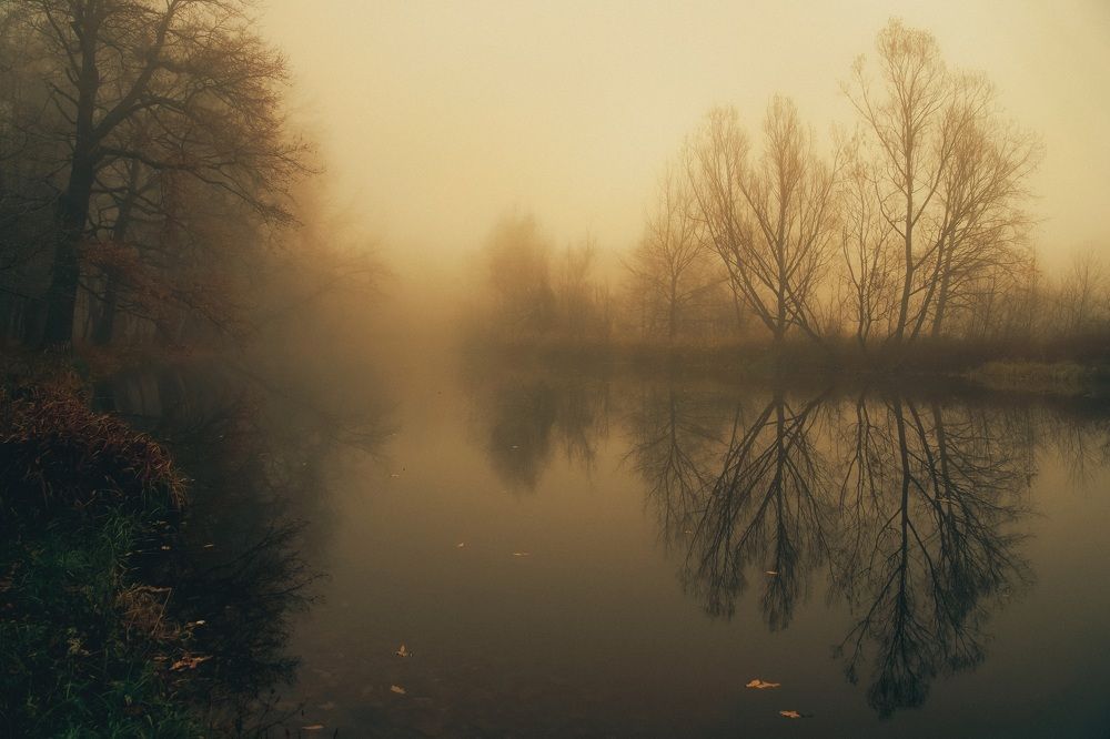 Photograph by Алексей Шевченко