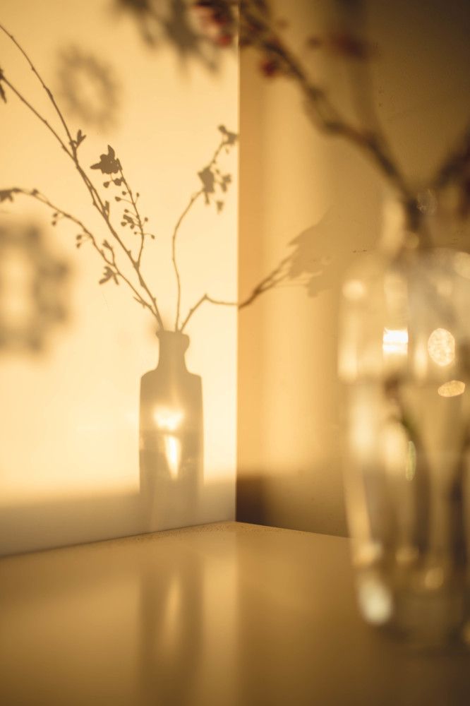 What does winter dream about?