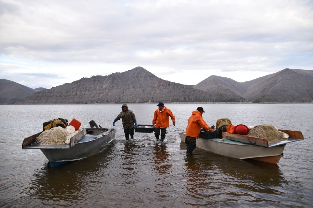 Photograph by Марина Калинина