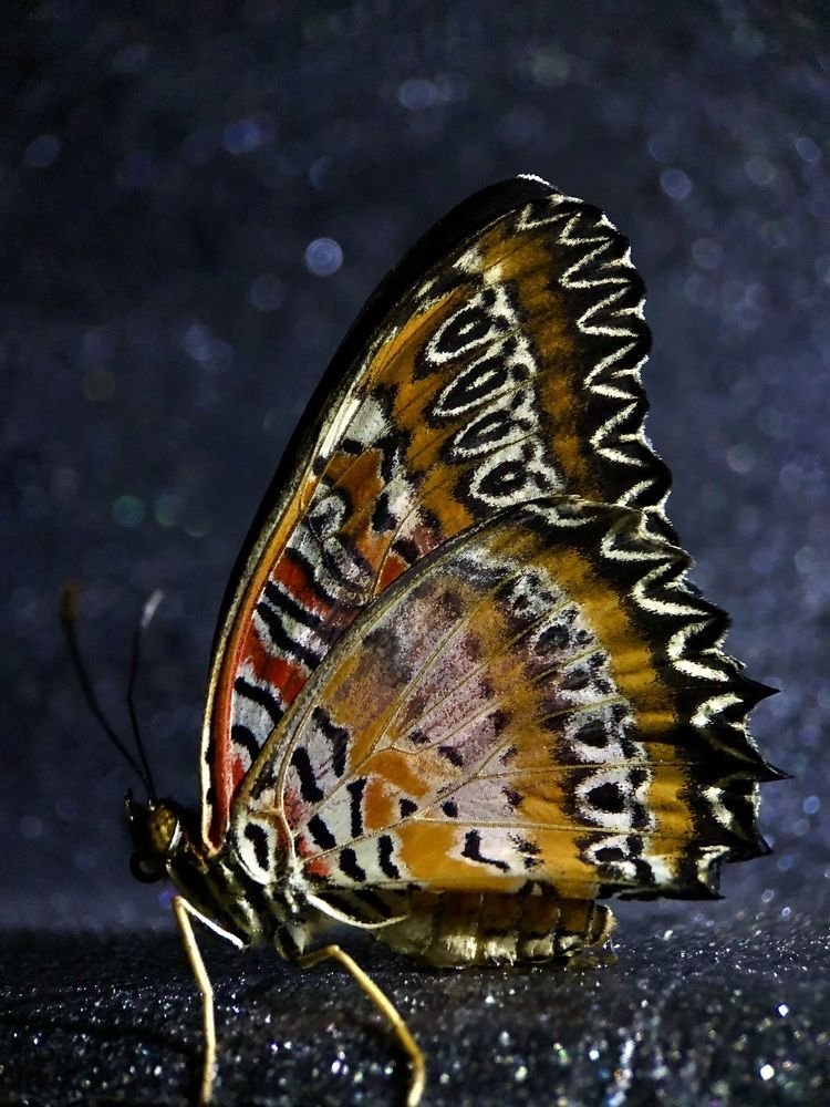 Photograph by Юлия Отставнова