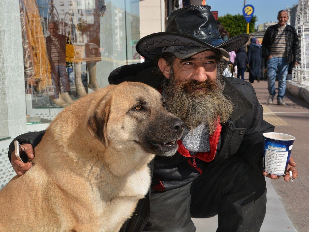 Photograph by ibrahim yalcinkaya