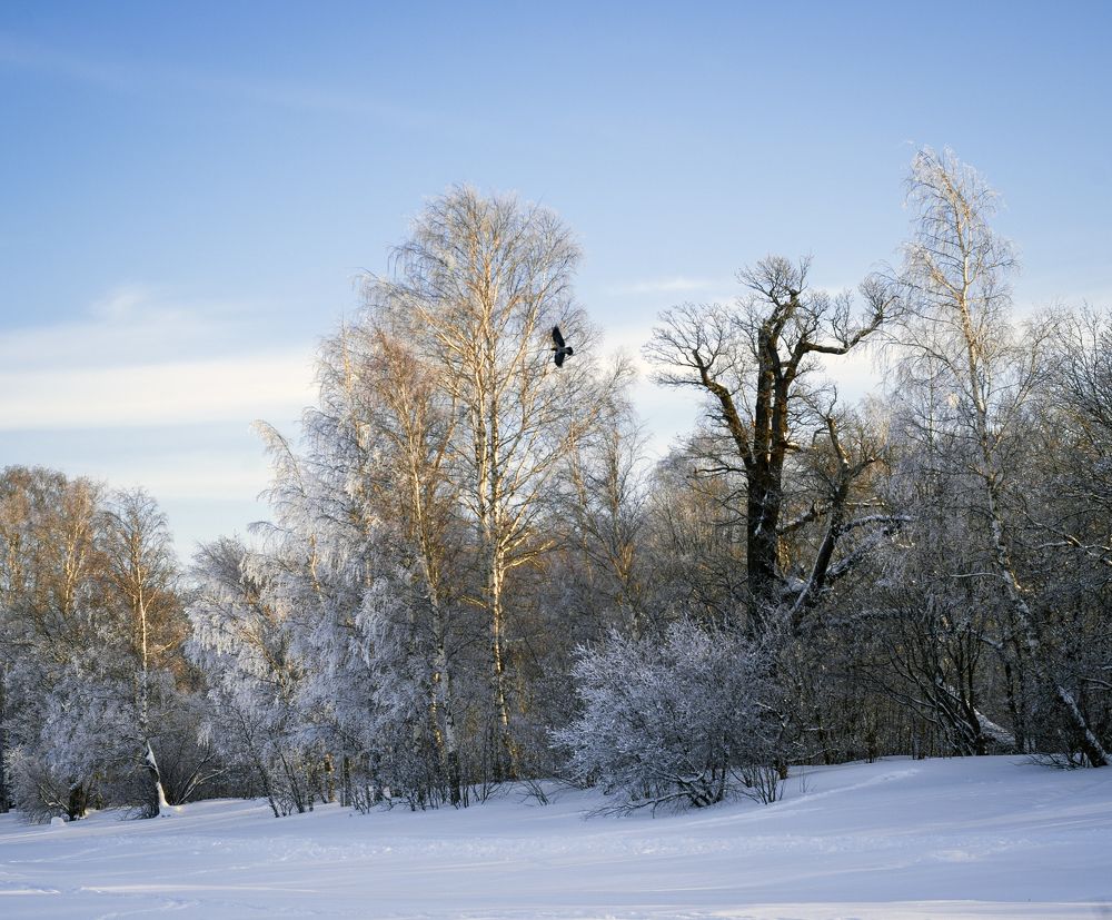 Photograph by stepan
