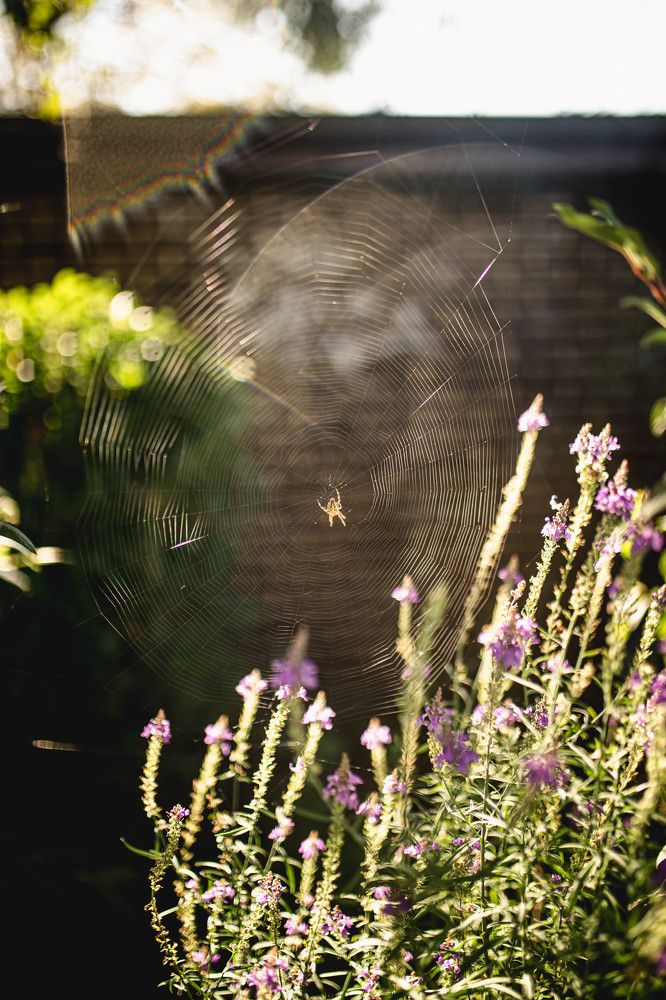 Photograph by Solomiya Podkrólewicz