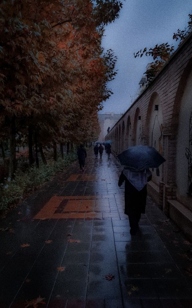 Photograph by Parsa Boroumandfar