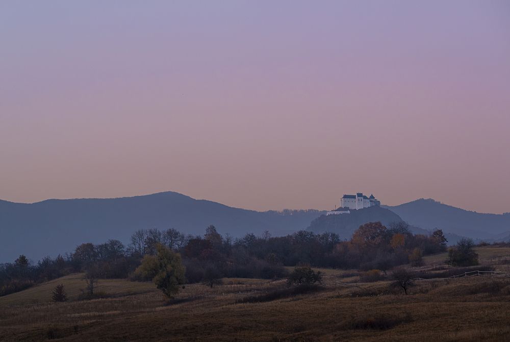 Photograph by Csaba Tokolyi