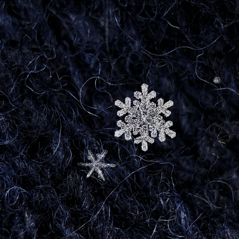 Photograph by Юлия Отставнова